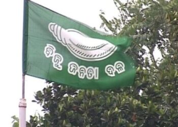 bjd party