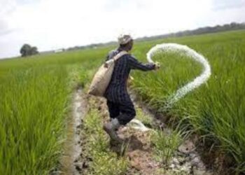 kisan