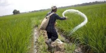 kisan