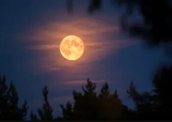 sharad purnima