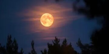 sharad purnima