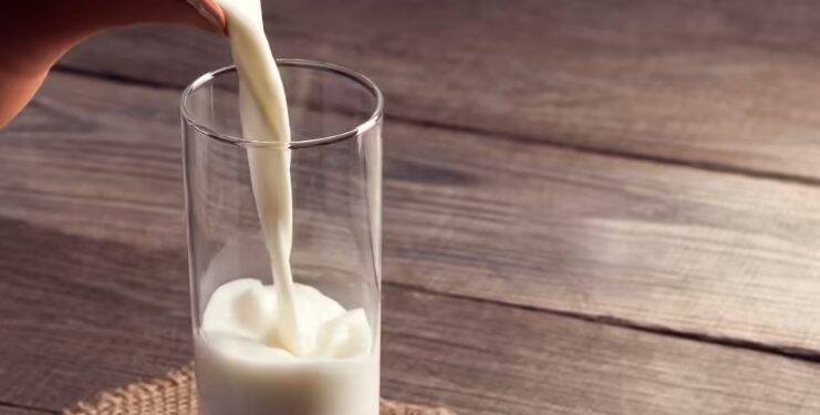 hot milk