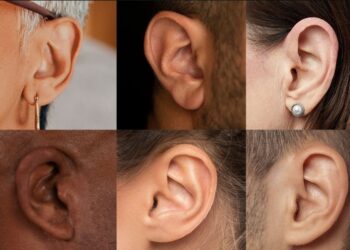 ears types