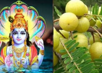 अक्षय नवमी