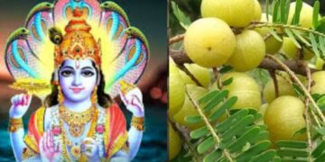 अक्षय नवमी