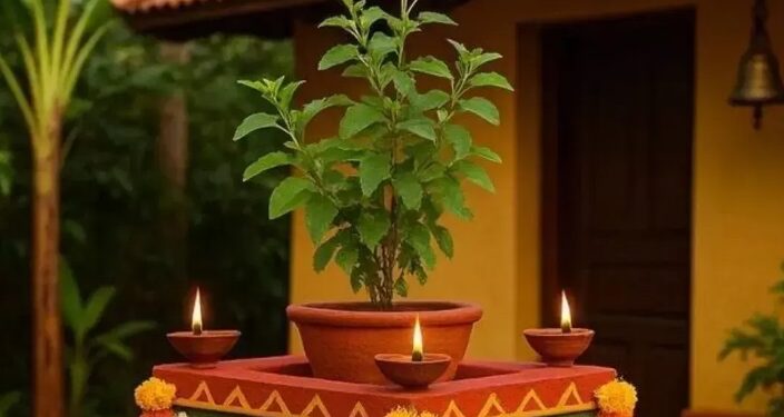 Tulsi