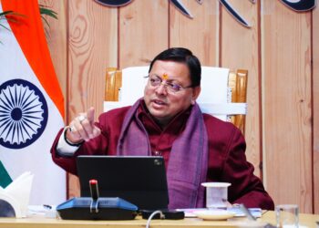 cm dhami