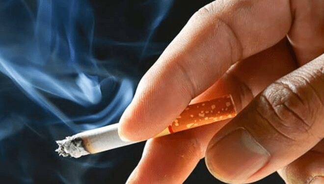 smoke cigarettes