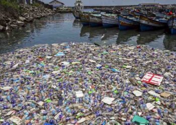 plastic