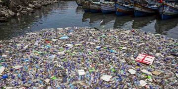 plastic