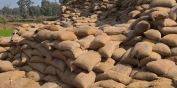 paddy procurement center