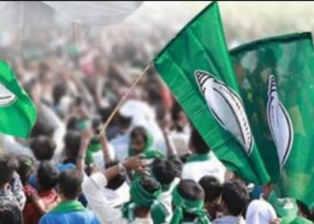 BJD