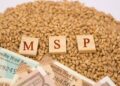 MSP