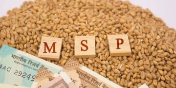 MSP