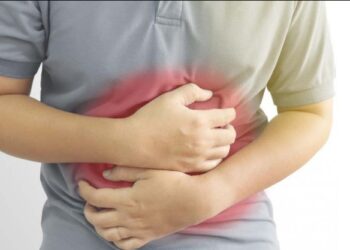 stomach