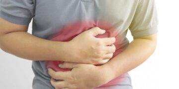 stomach