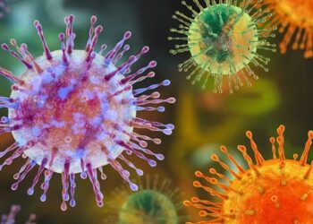 Hantavirus