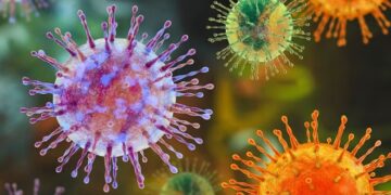 Hantavirus