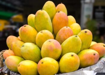 आम