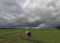 monsoon