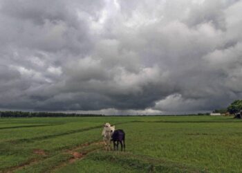monsoon