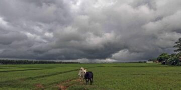 monsoon