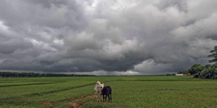 monsoon