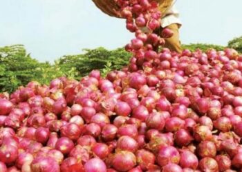 onions