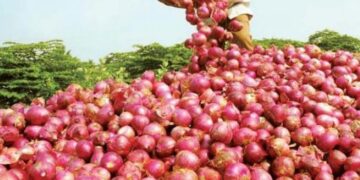 onions