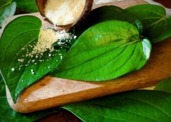 paan