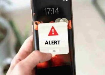 alert