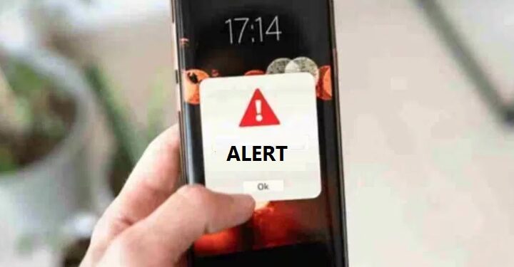 alert