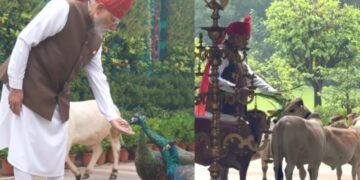 PM Modi