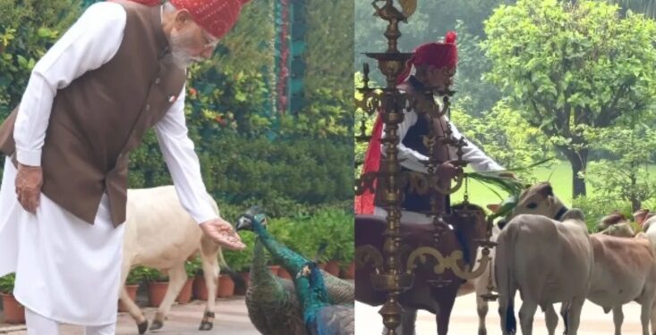 PM Modi