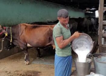 dairy farmers in india