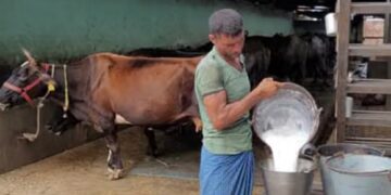 dairy farmers in india