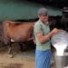 dairy farmers in india
