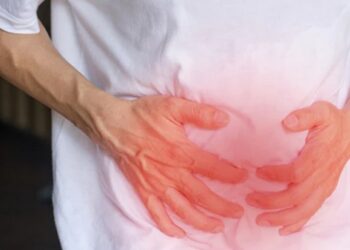 stomach